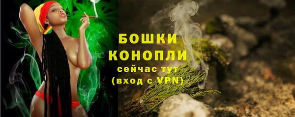 соль ск Тутаев