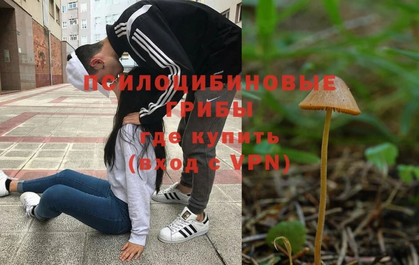 соль ск Тутаев
