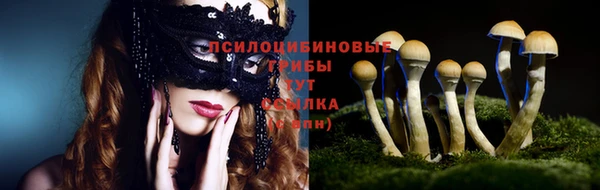 дживик Тында