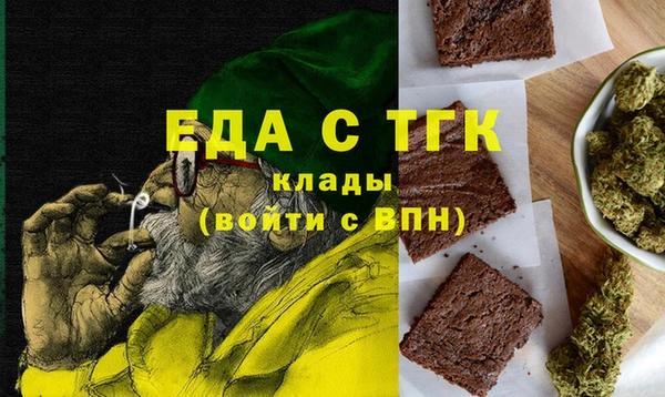 дживик Тында