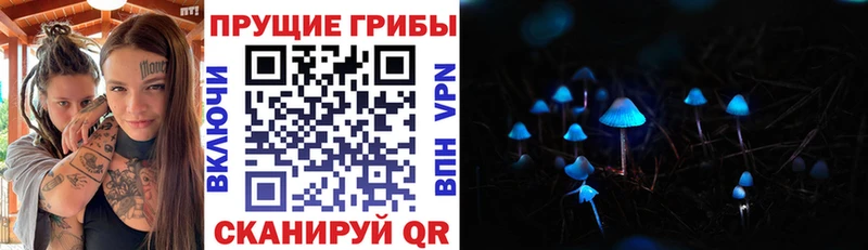 MEGA онион  Щигры  Псилоцибиновые грибы ЛСД 